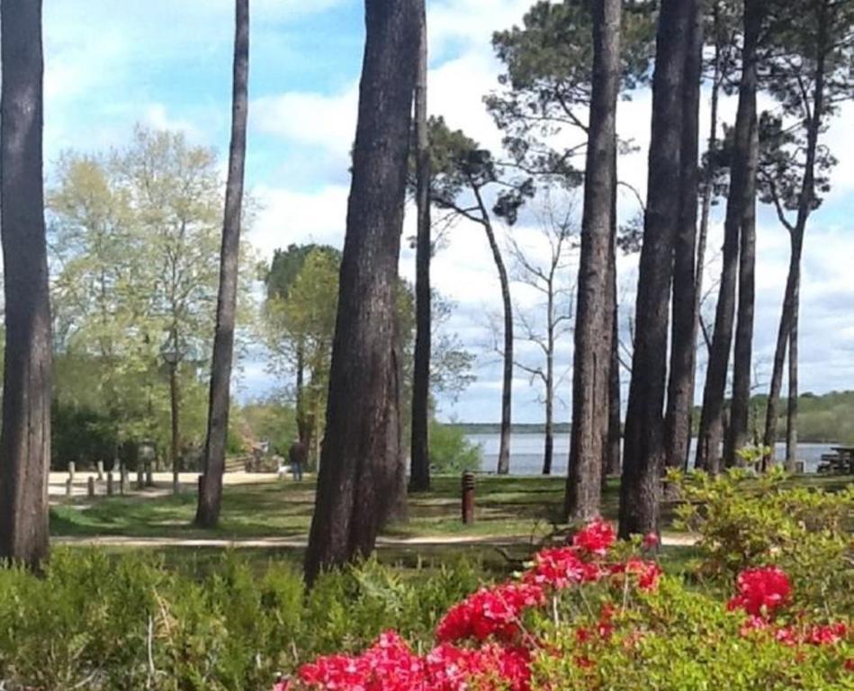Hotel Au Bon Coin Du Lac Mimizan-Plage Eksteriør billede