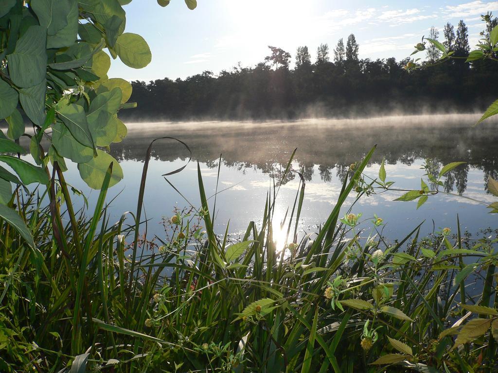 Hotel Au Bon Coin Du Lac Mimizan-Plage Eksteriør billede